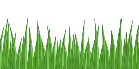 Yourhydroseeder Grass Printable, Green Grass Illustration, Grass Background Cartoon, Cartoon Grass, Grass Transparent Background, Grass Drawing, Clean Eating Menu, Grass Clipart, Fake Grass