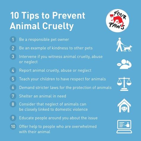 CA Guide | EN Preventing Animal Cruelty Infographic Animal Cruelty Awareness, Human And Animal, Facts For Kids, Animal Companions, Animal Welfare, Animal Rights, Warning Signs, Emotional Wellness, Health Issues