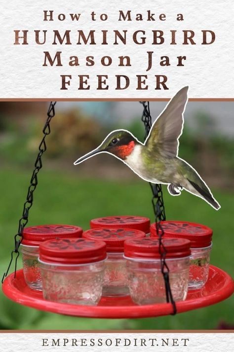 Mason Jar Hummingbird Feeder, Homemade Hummingbird Feeder, Diy Hummingbird Feeder, Hummingbird Food, Hummingbird Nectar, Homemade Bird Feeders, Small Mason Jars, Hummingbird Feeder, Diy Bird Feeder