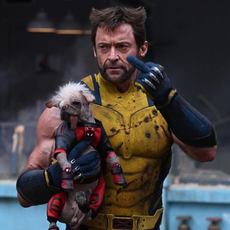 Hugh Jackman Deadpool, Deadpool And Wolverine, Ryan Reynolds, Hugh Jackman, Deadpool, Yellow, Instagram