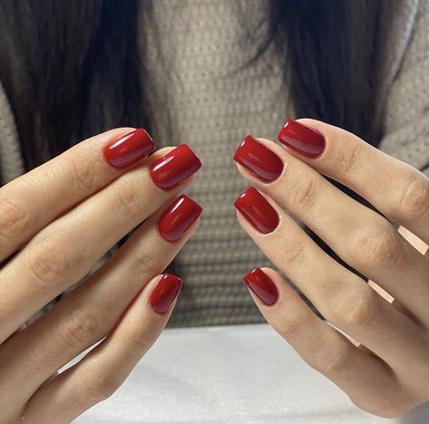 Red Shellac Nails Design, Red Nails Shellac, Natural Nails Winter, Red Short Acrylic Nails, Red Short Square Nails, Red Short Nails Ideas, Nails Acrylic Korean, Valentines Nails Square, Short Nail Designs Valentines