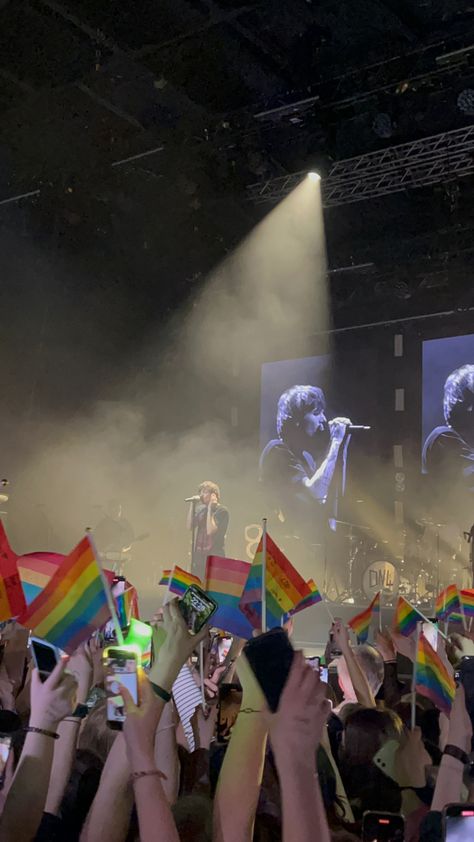 Louis Tomlinson Pride Flag, Wallpaper Music, Bisexual Flag, Rainbow Pin, Rainbow Flag Pride, Concert Aesthetic, Pride Rainbow, Rainbow Flag, Pride Flag