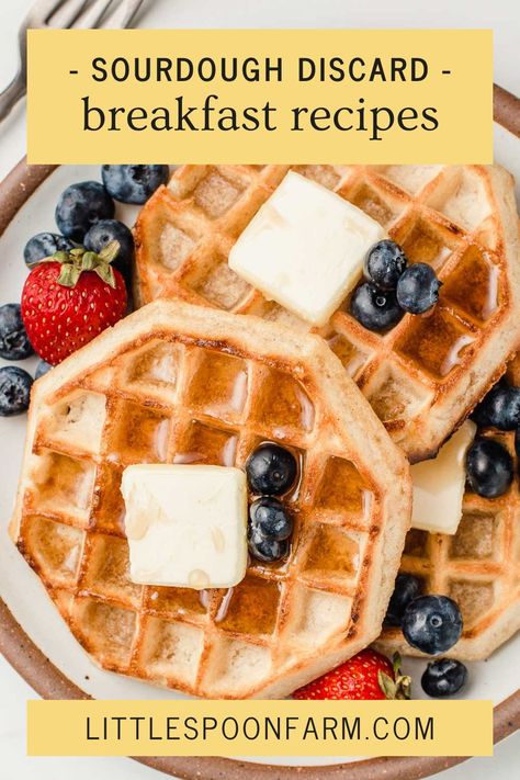 Discard Waffles Easy, Sourdough Discard Waffles Healthy, Sour Dough Discard Waffle Recipe, Sourdough Discard Protein Waffles, Sourdough Protein Waffles, Sourdough Discard Waffle Recipes, Sourdough Waffles Discard, Sourdough Discard Waffles Quick, Discard Waffle Recipe