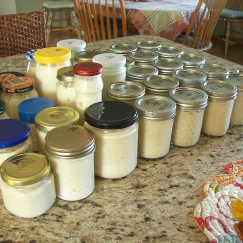 Making Horseradish Homemade, How To Make Horseradish Homemade, Canned Horseradish Recipe, Canning Horseradish Recipes, Fresh Horseradish Recipes, Canning Horseradish, How To Make Horseradish, Growing Horseradish, Horse Radish