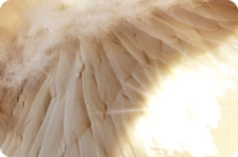 Angel wings. I Believe In Angels, Ange Demon, Angel Aesthetic, Angels Among Us, White Wings, After Life, Guardian Angels, White Feathers, Angels And Demons