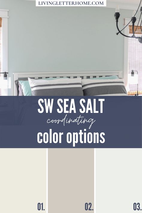 Sherwin Williams Sea Salt Coordinating Color options graphic Sherman Williams Sea Salt, Coastal Bathroom Colors, Sea Salt Kitchen, Benjamin Moore Sea Salt, Neutral Paint Colors Sherwin Williams, Rainwashed Sherwin Williams, Paint Colors Sherwin Williams, Sw Sea Salt, Sea Salt Paint