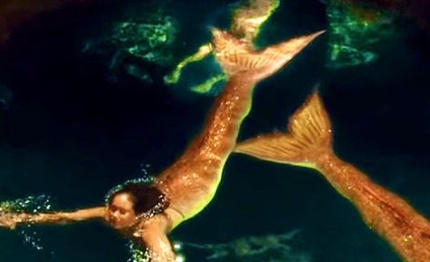 Yellow Mermaid Aesthetic, Orange Mermaid Aesthetic, Yellow Mermaid Tail, Orange Mermaid Tail, Mako Mermaids Tails, Underwater Mermaid, Realistic Mermaid Tails, Orange Mermaid, Yellow Mermaid