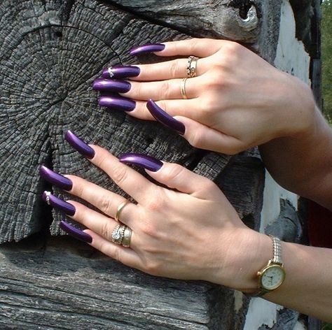 Purple nails Dark Purple Square Nails, Purple Square Nails, Long Red Nails, Long Fingernails, Purple Square, Curved Nails, Gothic Nails, Purple Nail, Nail Candy