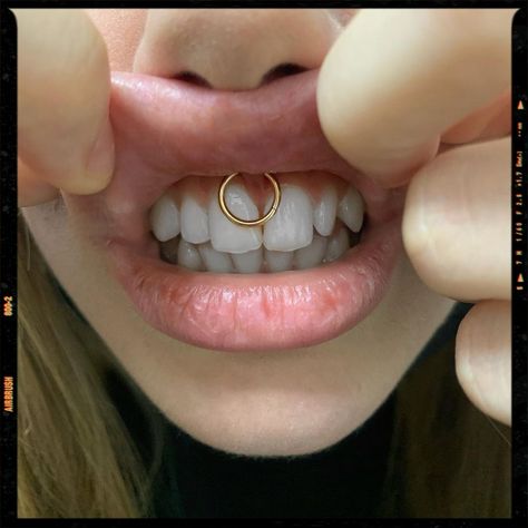 Smiley Ring Piercing Smiley Piercing Rings, Smiley Piercing Jewelry, Smile Piercing, Microdermal Piercing, Mouth Piercings, Pretty Teeth, Tattoo Maker, Smiley Piercing, Ring Piercing