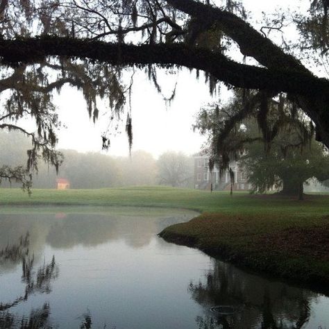 Drayton Hall Circa 1738 - Charleston SC | Content in a Cottage Drayton Hall Charleston Sc, Charleston North Carolina, Drayton Hall, Redwood Tree, Spanish Moss, History Class, Classical Architecture, Low Country, Southern Charm