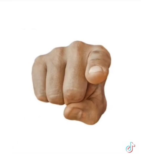 Finger Emoji, Hand Anatomy, Pointing Fingers, Ham Sandwiches, Pointing Hand, Hand Drawing Reference, Hand Reference, Wordpress Design, You Meme