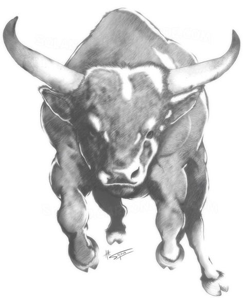 Charging Bull Tattoo, Taurus Bull Tattoos, Bull Tattoo, Chicago Sports Teams, Charging Bull, Taurus Bull, Bull Tattoos, Taurus Tattoos, Farm Paintings