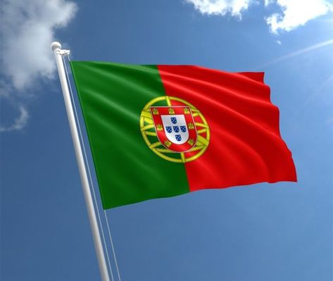 Flag of Portugal Portuguese Flag, Portugal Flag, Armillary Sphere, Portugal Fashion, Portuguese Culture, Top Travel Destinations, Canada Flag, Eu Flag, Coat Of Arms