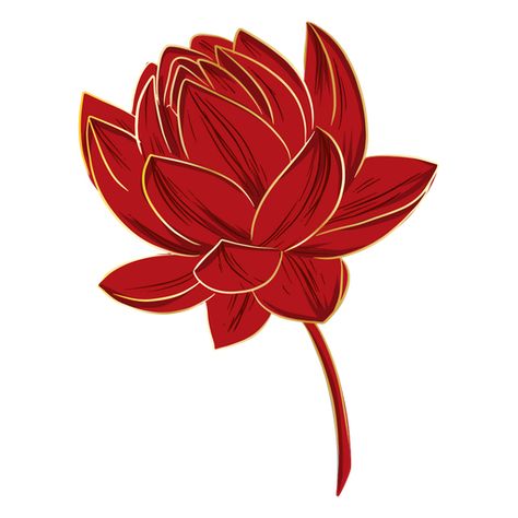 Chinese lotus flower #AD , #Chinese, #flower, #lotus Chinese Lotus Drawing, Cartoon Lotus Flower, Mdzs Jewelry, Chinese Flower Art, Lotus Flower Png, Chinese Lotus Flower, Red Lotus Tattoo, Lotus Artwork, Chinese Lotus