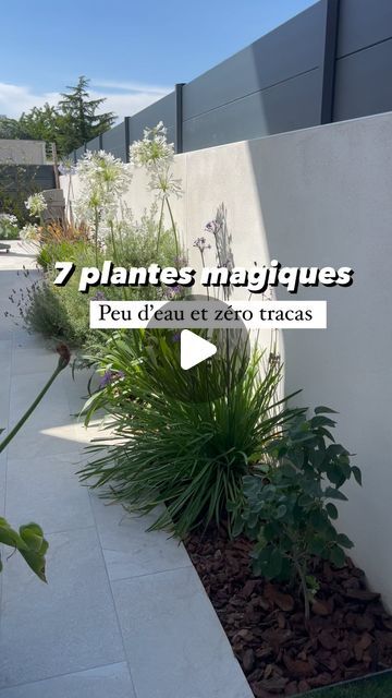 Doriane Cassar on Instagram: "🌿 Le choix de mes plantes dans ma jardinière intégrée à la terrasse🌿  Je voulais des plantes aux racines peu envahissantes, demandant peu d’eau et d’entretien. Exposée plein nord-est avec beaucoup de vent, il fallait aussi qu’elles soient résistantes mais vous pouvez aussi les planter sur les exposition Sud/Est/ouest sans problème.  ⚠️J’ai fais une erreur sur la lavande dentée car je ne l’ai jamais taillée 🫣 il faut vraiment que je la rattrape cette année car elle n’est pas très jolie.   Depuis que je les ai plantées, elles ont bien poussé et je ne regrette aucun de mes choix. Et vous, qu’en pensez-vous ? Vous validez ?  J’espère vous avoir inspiré. ☺️  Pense à t’abonner et à enregistrer si ce n’est pas déjà fait 😉  Jardin - plantes - maison   #jardin #pay Ibiza, Home And Garden, Exterior, Design