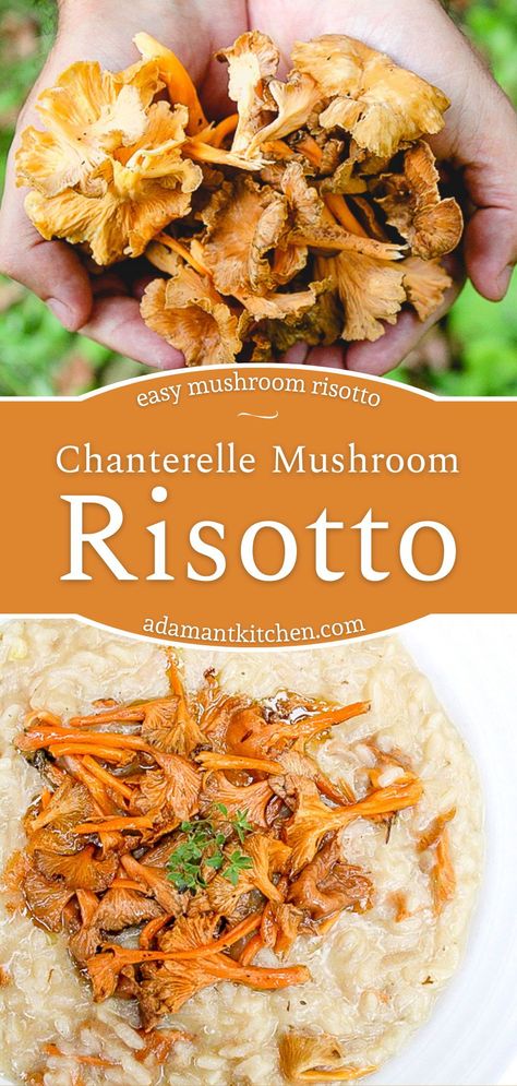 Chanterelle Mushroom Risotto: Chanterelle Mushroom Recipes - If you're looking for chanterelle recipes, you're going to love this easy mushroom risotto. I'd say, it's even one of the best mushroom risotto recipes around! Made with wild mushrooms, this risotto recipe is sure to please just about everyone. foraged mushroom recipes | foraging chanterelles Best Mushroom Risotto, Chanterelle Mushroom Recipes, Chanterelle Recipes, Fungi Recipe, Wild Mushroom Recipes, Food Foraging, Turkey Cutlets, Mushroom Risotto Recipes, Wild Food Foraging