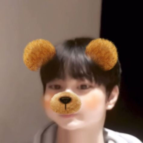 yang jungwon bear filter icon Jungwon Bear, Dog Icon, Yang Jungwon, Sweetie Pie, Bare Bears, Cutie Patootie, Kpop Memes, Cute Icons, Kpop Idol