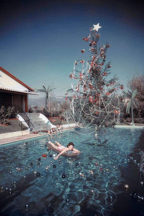 In Photos: Vintage Icons' Holiday Style - HarpersBAZAAR.com Slim Aaron, Slim Aarons Photos, Vintage Christmas Photos, Slim Aarons, Vintage Icons, Christmas Style, Paradise Island, High Society, Elizabeth Taylor