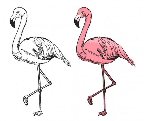 Ilustración de dibujo de flamenco. dibuj... | Premium Vector #Freepik #vector #mano #linea #naturaleza #caracter Animals Sketching, Flamingo Sketch, Flamingo Drawing, Flamingo Vector, Flamingo Tattoo, New Year Cartoon, Flamingo Illustration, Rose Sketch, Cartoon Birds