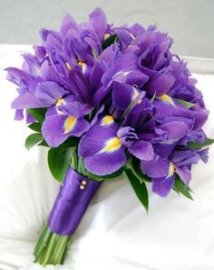 Iris Bridal Bouquet | ... bridal purple purple iris bouquets mood flowers irises iris bridal Iris Bridal Bouquet, Iris Flower Bouquet, Iris Wedding Bouquet, Iris Bouquet, Iris Wedding, Purple Flower Bouquet, Bouquet Champetre, Purple Bouquets, Purple Bridal Bouquet