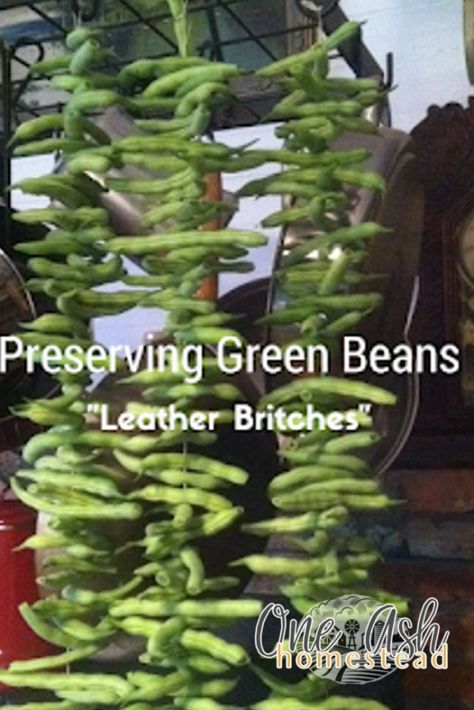 Preserving Green Beans- Leather Britches Dried Green Beans, Dehydrated Green Beans, Preserving Green Beans, Appalachian Recipes, Cooking Fresh Green Beans, How To Make Leather, Canned Food Storage, Dehydrating Food, Canning Tips