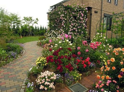 Small Rose Garden Ideas, Small Rose Garden, Rose Garden Ideas, Beautiful Rose Garden, Small Garden Plans, Rose Garden Landscape, Rose Garden Design, Backyard Garden Layout, Backyard Garden Landscape