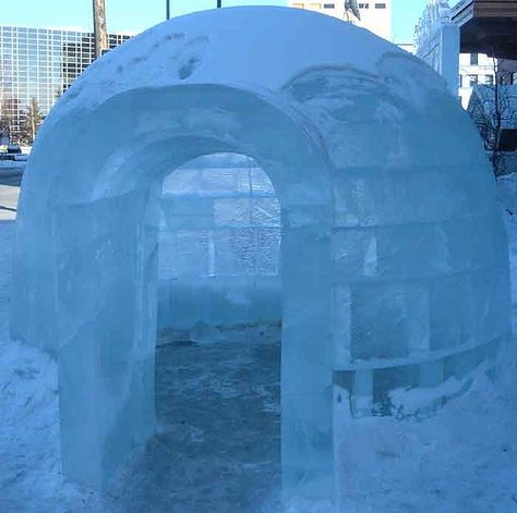 Doughnut Aesthetic, Ice Igloo, Snow Forts, Igloo Ice, Snow Fort, Ice Carving, Ice Bar, Snow Activities, Ice Art