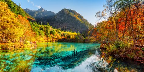 25 of the Most Colorful Places on Earth Fly Geyser, Huangshan, Socotra, Rainbow Mountain, Colorful Places, Monteverde, Hidden Beach, Beaux Villages, Olympic National Park