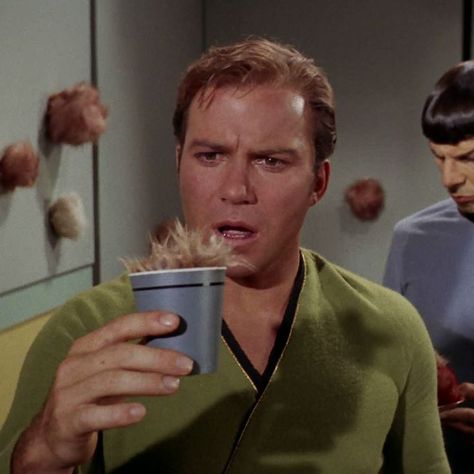 William Shatner as Captain James T. Kirk in 'Star Trek' (1966-69) People Drinking, Star Trek 1966, James T Kirk, Star Trek Funny, Star Trek Original Series, Star Trek Series, Star Trek Images, Star Trek Characters, Star Trek Movies