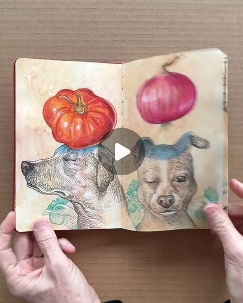 T O M M Y  K A N E  🐿 on Instagram: "Painstakingly illustrating every page of a Moleskine sketchbook is not the hard part, filming the stupid flip through video when I’m done is the most frustrating job. I shot the video several times over many days and it always takes 20 tries to get it right. The light is not quite right, it crops weirdly, or some unforeseen mishap occurs. I finally had to purchase a heavy-duty overhead phone stand. That did the trick. I’m even mildly pleased with myself. Now when I’m drawing somewhere and people ask to see my sketchbook, I hand them this finished one instead. I keep it hidden in my knapsack. Their eyes bug out a little and they move away from me a bit so they don’t catch whatever neurosis I have. I realize it’s hard to see all my drawings at high speed Moleskine Sketchbook, Hard Part, Visual Journal, Moleskine, Sketch Book, Film, Drawings, Instagram