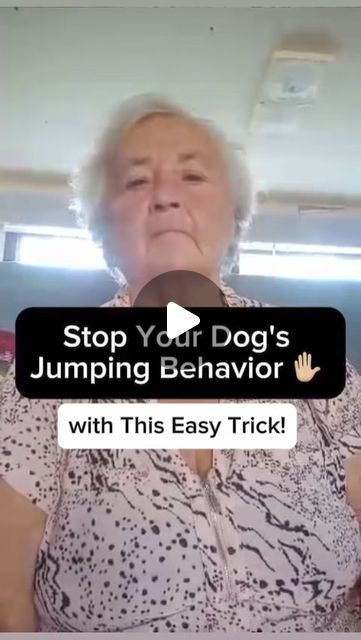 Dog Jumping On People, Dog Logic, Dog Training Treats Recipe, Cool Dog Tricks, Dog Tricks Easy, Teach Dog Tricks, Puppy Dog Pictures, Raised Dog Feeder, Dogs Diy Projects