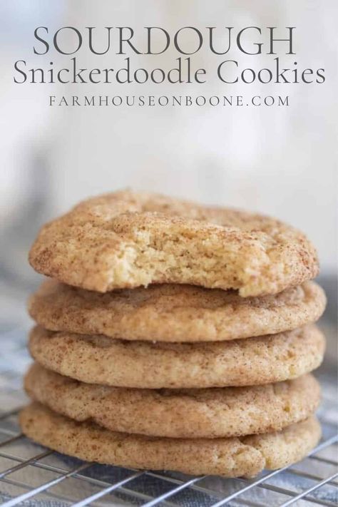 Sourdough Discard Recipes Cookies, Easy Discard Sourdough Recipes, Sourdough Cookies Recipe, Sourdough Discard Cookies, Dough Starter Recipe, Sourdough Discard Recipe, Sourdough Cookies, Recipe Using Sourdough Starter, Discard Recipe