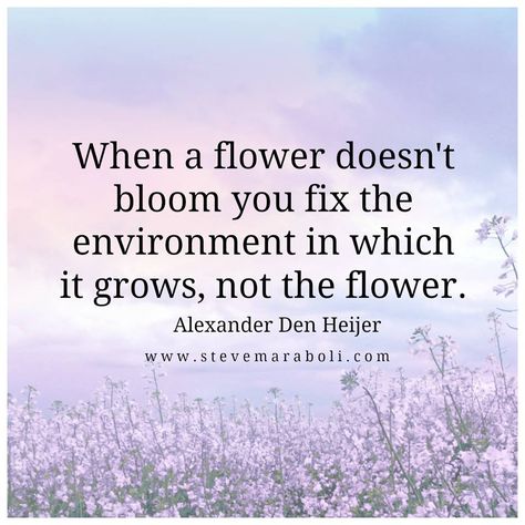 When a flower doesn't bloom you fix the environment in which it grows, not the flower. Spring Quotes Flowers, Quotes About Flowers Blooming, Les Miserables Quotes, Environment Quotes, Bloom Quotes, Growing Quotes, Influence People, Spring Quotes, Plants Quotes