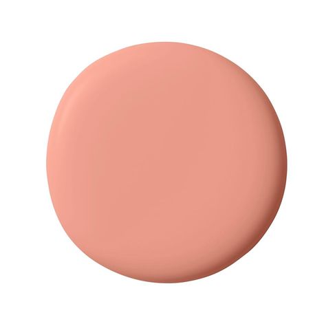 Sherwin Williams Youthful Coral, Peachy Pink Paint Color Sherwin Williams, Pink Paint Colors Sherwin Williams, Coral Paint Colors, Coral Paint, Painted Hallway, Family Room Paint, Peach Paint, Warm Paint Colors