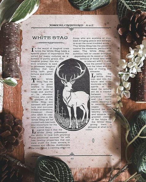 Stag Symbolism, Stag Art, Hippie Things, Celtic Zodiac, Hp Book, Magical Power, White Stag, Warrior Princess, Spiritual Practices