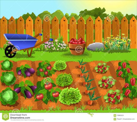 Cartoon Garden With Fruits And Vegetables Stock Vector - Illustration of garden, environment: 70985624 Cartoon Garden, Vegetable Drawing, Vegetable Cartoon, Raised Vegetable Gardens, Garden Clipart, Vegetable Garden Raised Beds, Garden Modern, Garden Illustration, Garden Drawing