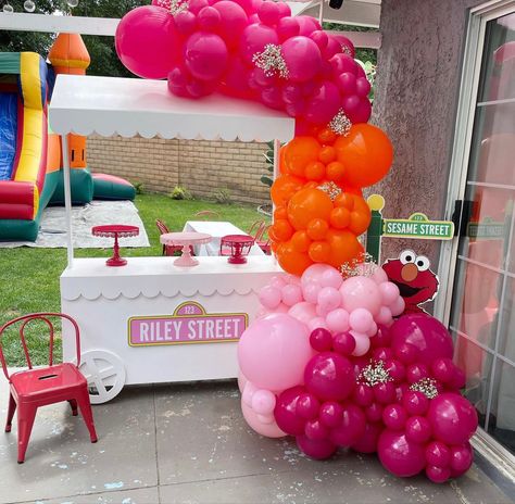 Aesthetic Elmo Party, Boho Elmo Party, Pink Elmo Party, Pink Sesame Street Birthday, Sesame Street Birthday Party Ideas 1st Girl, Girly Elmo Birthday Party Decoration, Aesthetic Sesame Street Party, Abby Sesame Street Birthday, Sesame Street 1st Birthday Party Girl