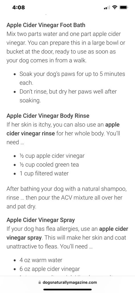 Itchy Paws Remedies, Dog Dandruff Remedy, Dog Yeast Infection Skin Remedies, Apple Cider Vinegar Dogs, Apple Cider Vinegar For Dogs, Anti Itch Remedy, Apple Cider Vinger, Yeast Infection On Skin, Apple Cider Vinegar Bath