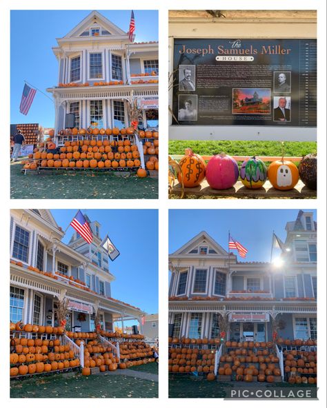 Pumpkin House, Miller Homes, Halloween Scene, West Virginia, Read More, Virginia, First Time, Halloween