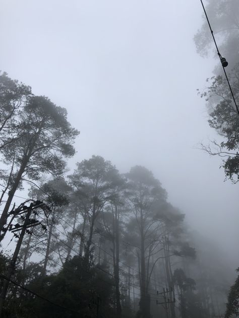 Slowed Reverb, Pretty Nature, Munnar, Alone Photography, Amazing Landscapes, Green Things, Peaceful Places, Scenery Nature, Outside World