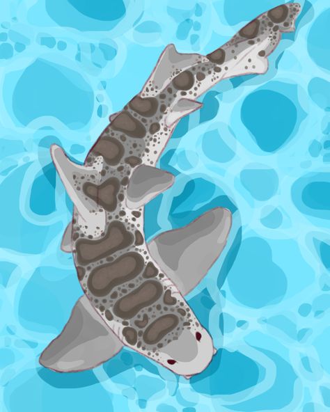 This is a Digital download, no physical item will be shipped.  This print illustrates a leopard shark, also known as Triakis semifasciata, in shallow water. This digital image was hand drawn using a drawing tablet.  The download contains one JPG file of the image shown above.  You will receive the digital file after purchasing.  Digital files can be found in your Etsy purchases browser page:  https://www.etsy.com/your/purchases OR Etsy will provide a link of the download to your email.  File siz Shark Digital Art, Sea Monsters Drawing, Sharks Scary, Ocean Shark, Shark Painting, Shark Silhouette, Leopard Shark, Shark Facts, Shark Drawing