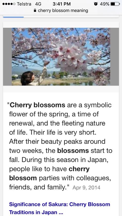 Meaning Of Cherry Blossom, Sakura Meaning, Cherry Blossom Symbolism, Red Cherry Blossom Tree, Cherry Blossom Meaning, Tree Meanings, Tree Tattoo Meaning, Cherry Blossom Party, Gaia Goddess