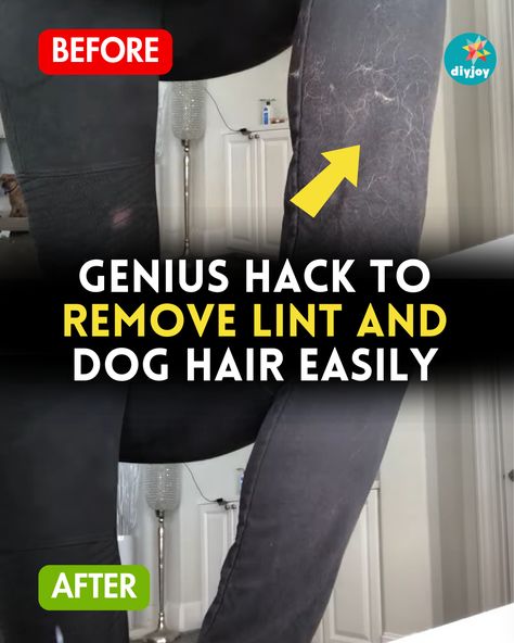 No need for a lint roller to remove lint and dog hair from your clothes with this simple hack! It is easy and done in just a few seconds. How To Remove Dog Hair From Clothes, How To Remove Lint, Make Dog Food, Flea Shampoo, Remove Lint, Homemade Ideas, Pet Projects, Food Cat, Pet Hair Removal