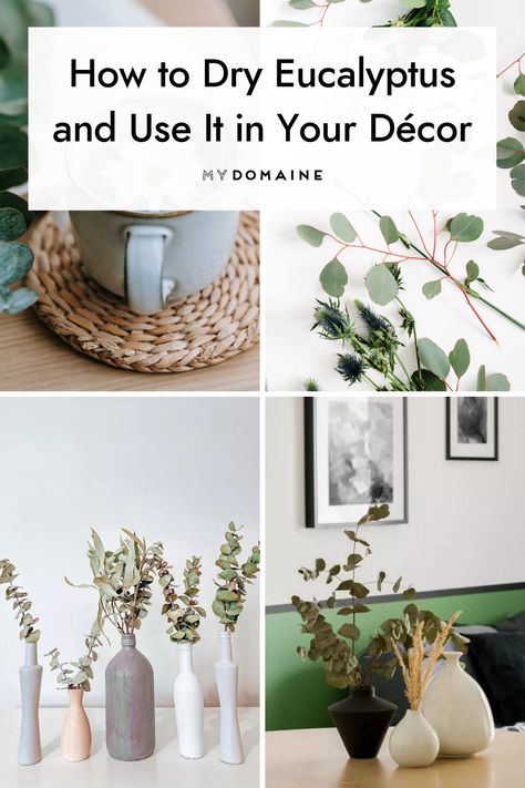 Eucalyptus is perfect for bringing in greenery and brightening up your home. #Eucalyptus #HomeDecor #InteriorDesign #MyDomaine Decorate With Eucalyptus Branches, Vase Of Eucalyptus, Decorating With Eucalyptus Branches, How To Dry Eucalyptus Branches, Dried Eucalyptus Decor, Decorating With Eucalyptus, Eucalyptus Bathroom, Dry Eucalyptus, Eucalyptus Diy