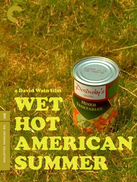 Wet Hot American Summer (2001) Wet Hot American Summer Party, Wet Hot American Summer Costume, American Summer Camp Aesthetic, Brain Explosion, American Summer Camp, Camp Horror, Film Major, Summer Camp Aesthetic, Camp Decor