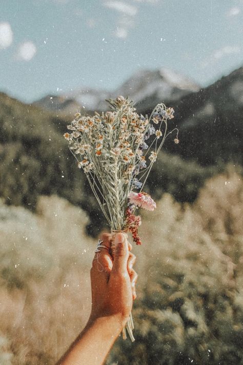 VSCO - alexgowon Wallpaper Tumblr, Plant Aesthetic, Trendy Flowers, Photo Wall Collage, Wallpapers Iphone, Jolie Photo, Aesthetic Vintage, Aesthetic Backgrounds, Aesthetic Iphone Wallpaper