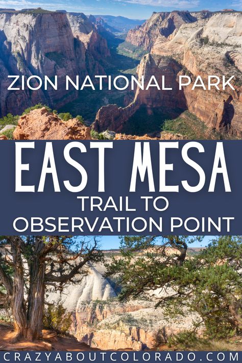 East Mesa Trail, Observation Point, Zion NP, Zion National Park, Utah hikes, family hikes, easy hikes in Zion NP, family hikes Zion, best view in Zion NP, day hikes, East Zion trails, East Zion hikes, best hikes in Zion National Park, Utah's National Parks, Hike Utah, Park Entrance, Hiking Destinations, Backpacking Tips, Best View, Wild Adventures, Us National Parks, Adventure Activities, Backpacking Travel