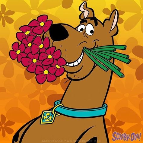 Scooby Doo And Shaggy Drawings, Scooby Doo Valentine, Shaggy Scooby Doo, Scooby Doo Pictures, Scooby Doo Images, Scooby Doo Mystery Incorporated, Shaggy And Scooby, Scrappy Doo, Realistic Cartoons