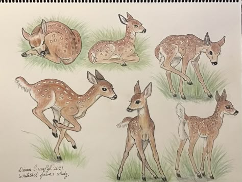 Deer Aesthetic Drawing, Deer Looking Up, Fawn Drawing Reference, Land Animals Drawing, Doe Drawings, Deer Drawing Reference, Deer Drawing Sketches, Fawn Drawing, Deer Sketches