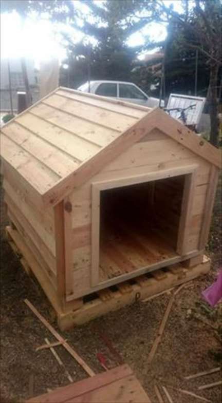 16+  Beautiful Wood Pallet Dog Kennel Gallery Check more at https://alexstewartperu.com/16-beautiful-wood-pallet-dog-kennel-gallery/ Big Dog House, Dog House Plan, Building A Dog Kennel, Cheap Dog Kennels, Pallet Dog House, Wood Dog House, Indoor Dog Kennel, Build A Dog House, Diy Dog Crate